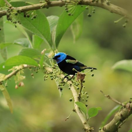 Finca Jardin Del Agua Сасайма Экстерьер фото