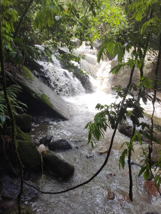 Finca Jardin Del Agua Сасайма Экстерьер фото