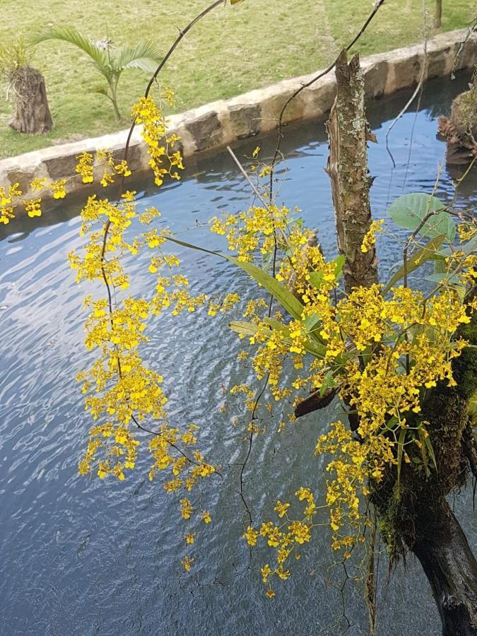Finca Jardin Del Agua Сасайма Экстерьер фото